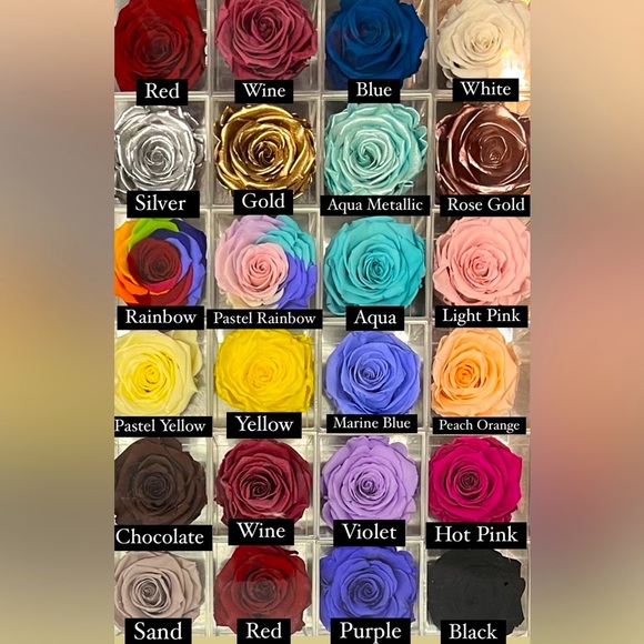 NIB Preserved Rose - Picture 3 of 9